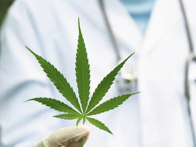 Buy Therapeutic Cannabis Products In Europe – Medical Marijuana Solutions Delivered Fast