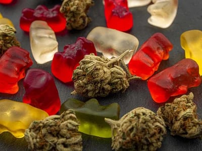 Buy Shrooms Online from the #1 Source – Quality, Variety, and Discreet Shipping Guaranteed!