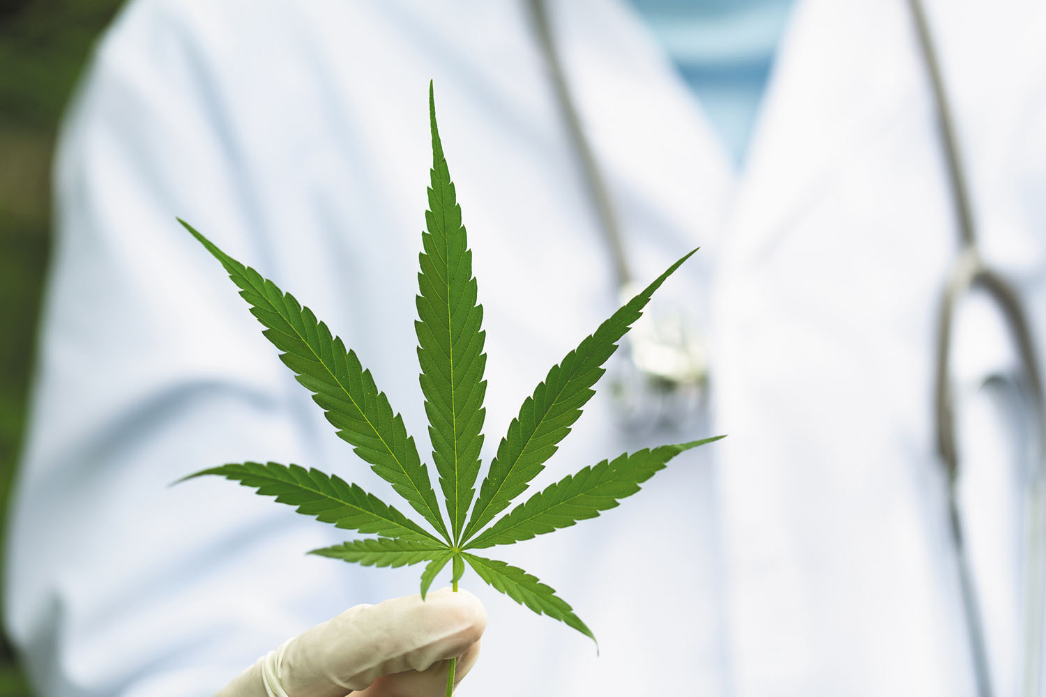 Buy Therapeutic Cannabis Products In Europe – Medical Marijuana Solutions Delivered Fast