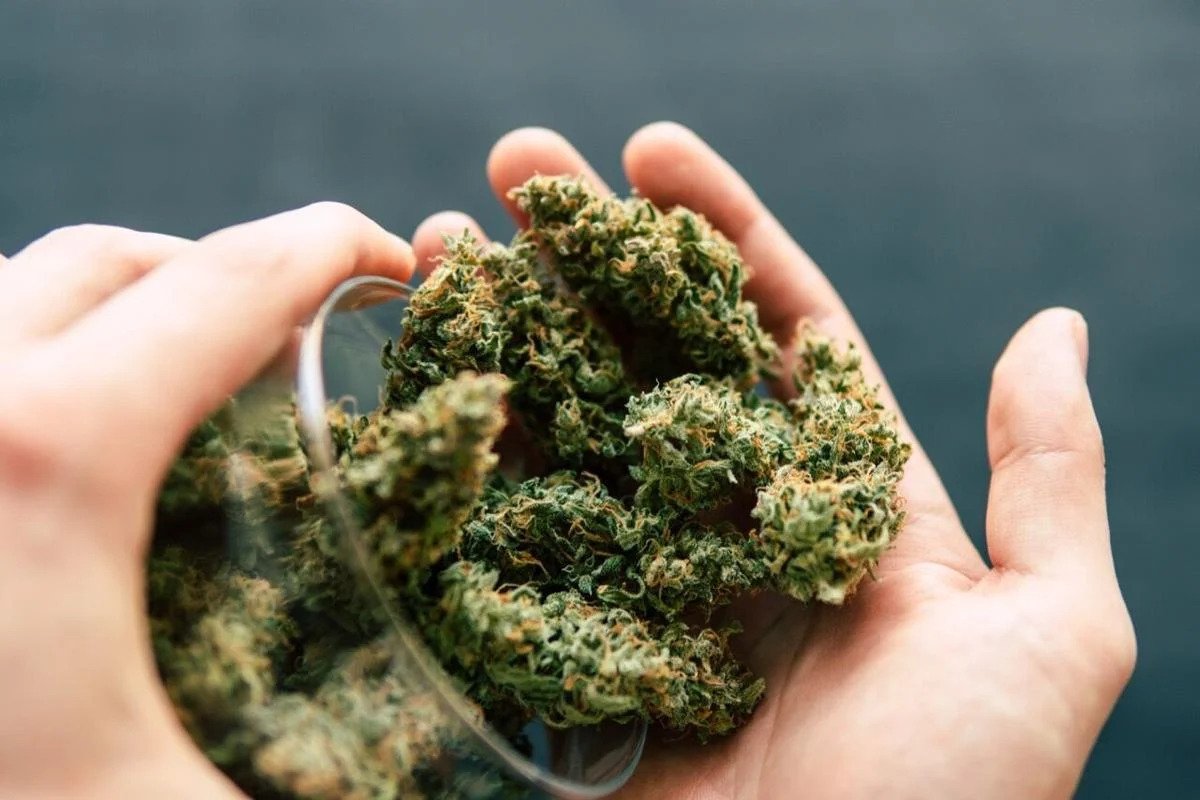 Affordable Evaluations in Lexington KY: Get Approved by a Certified Medical Cannabis Doctor Near You