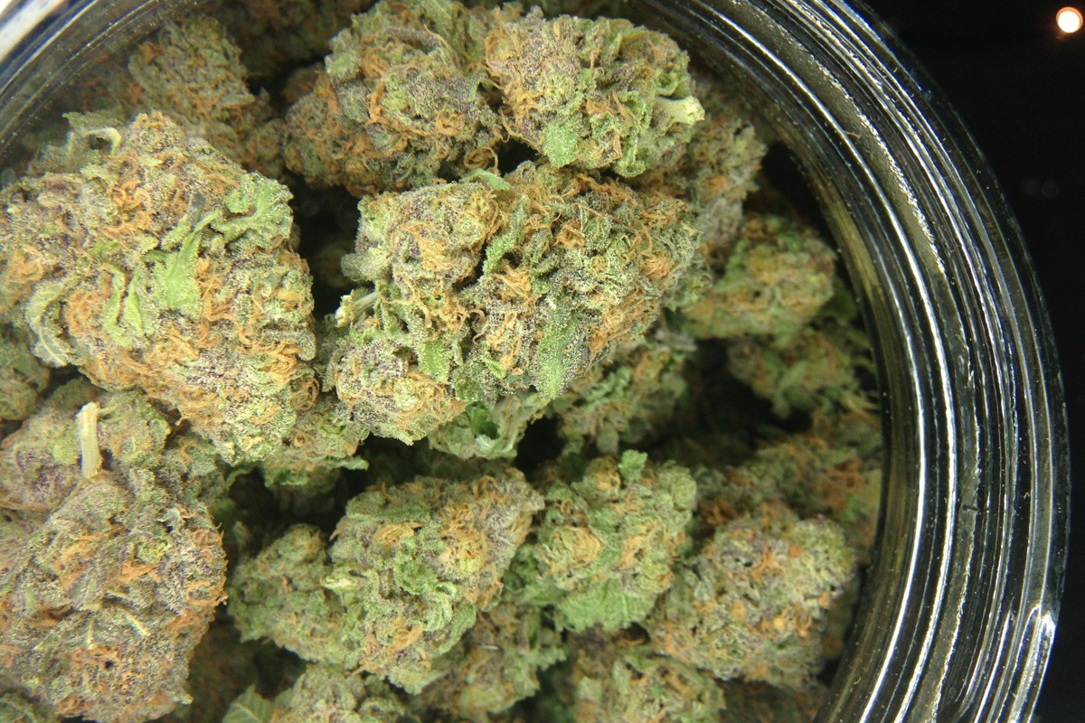 CBD OG Kush Selection: Green Leaf Store EU's Effort to Deliver the Highest Caliber
