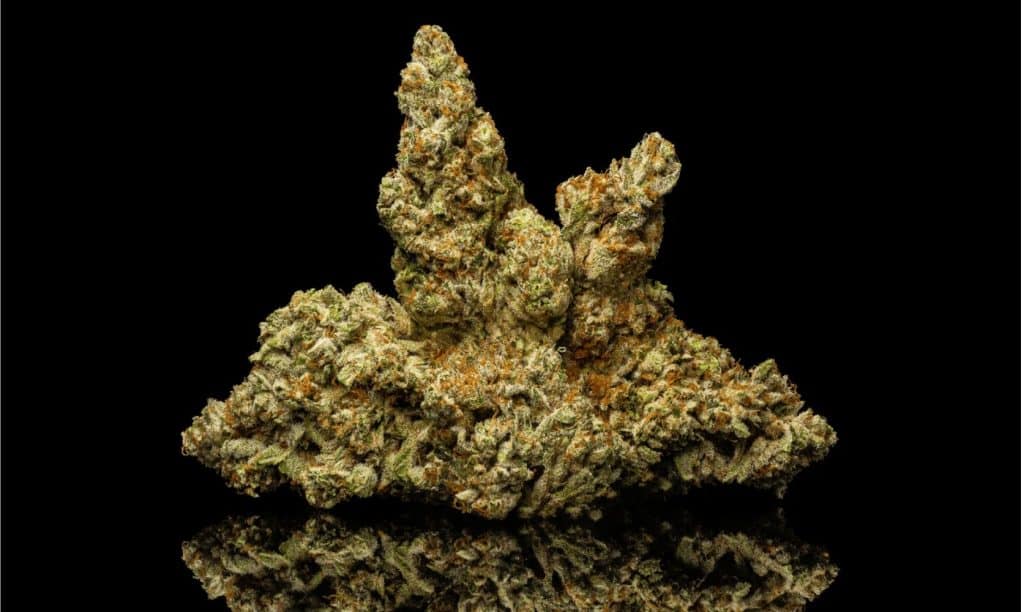 Shop Weed Strains for Sale Europe – Legal Infused Edibles & THC Flower