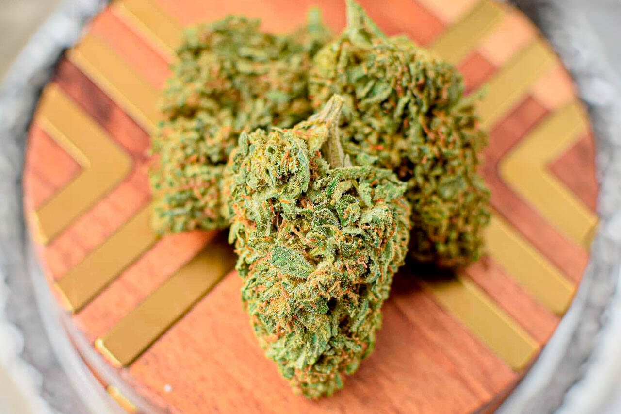 Atlantic Cannabis: Browse Curated Strains Chosen for Quality, Flavour, and Effect