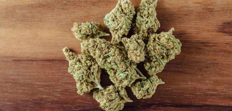 Shop Weed Strains for Sale Europe – Legal Infused Edibles & THC Flower