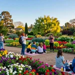 Capay Valley Garden Tour 2026 Update: Exclusive Discounts for Travelers
